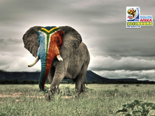 Картинка спорт логотипы турниров