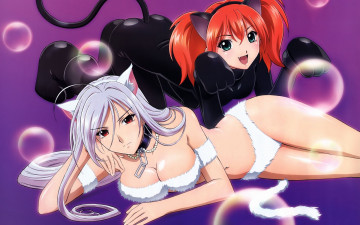 обоя аниме, rosario, vampire, шары, девушка, отдых