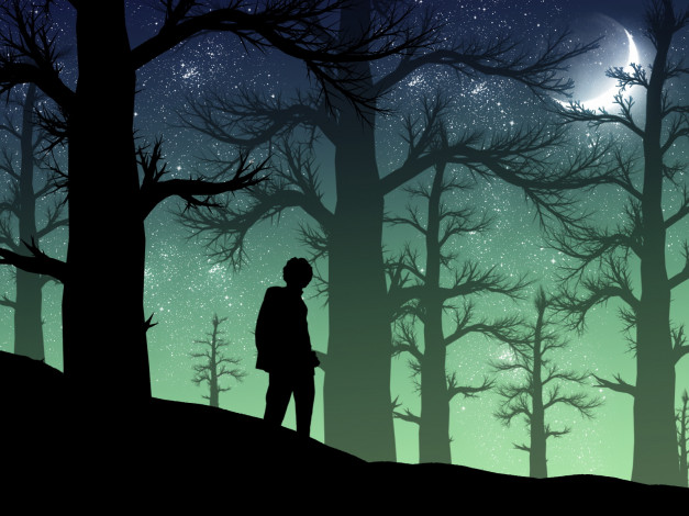 Обои картинки фото векторная, графика, лес, человек