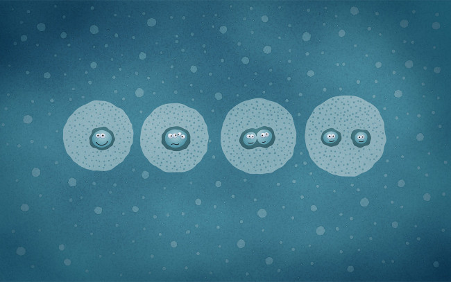 Обои картинки фото рисованные, vladstudio