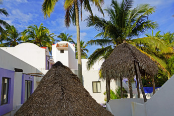 Картинка мексика веракрус города улицы площади набережные пальмы домики