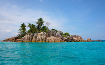 Картинка природа побережье пальмы скалы море