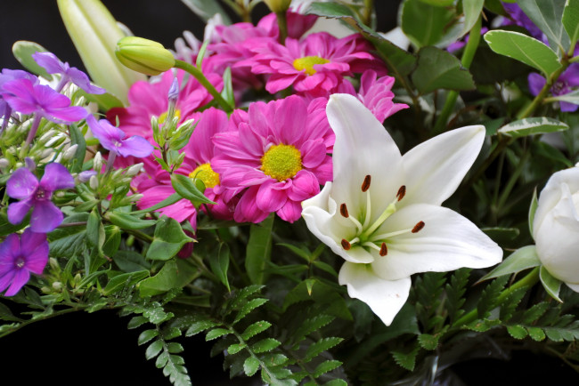 Обои картинки фото цветы, букеты, композиции, лилии, ромашки, петунья, букет