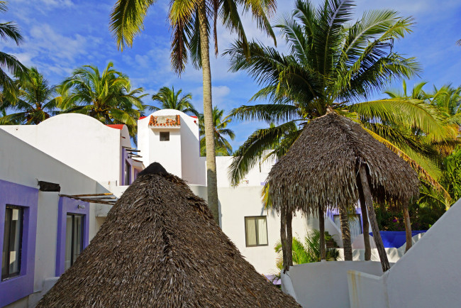 Обои картинки фото мексика, веракрус, города, улицы, площади, набережные, пальмы, домики