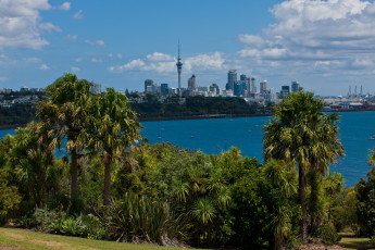 Картинка города пейзажи окленд новая зеландия