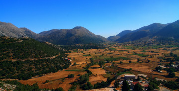 Картинка природа поля панорама вид сверху