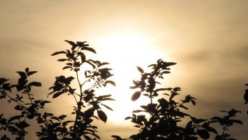 Картинка закат природа восходы закаты