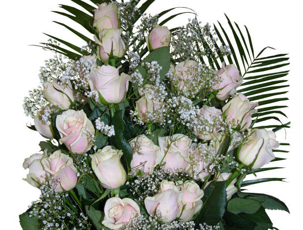 Обои картинки фото цветы, букеты, композиции, букет, розы