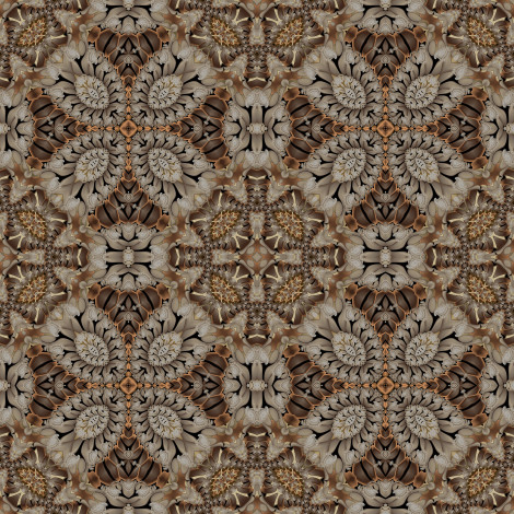 Обои картинки фото 3д графика, fractal , фракталы, цвета, фон, узор