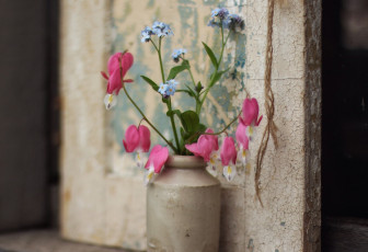 Картинка цветы букеты +композиции луговые букетик банка