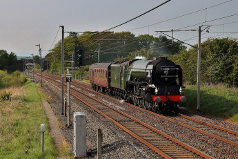 Картинка техника паровозы дорога рельсы паровоз железная