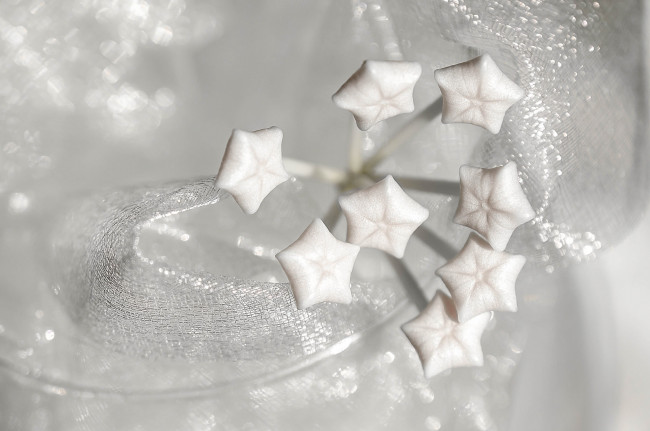 Обои картинки фото разное, - другое, звёздочки