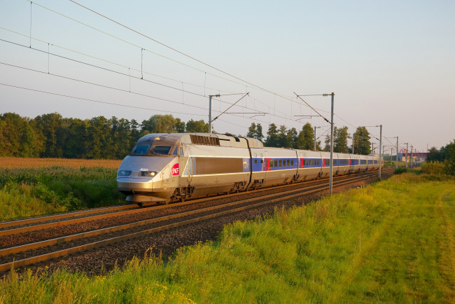 Обои картинки фото техника, поезда, поезд, скоростной