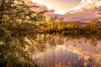 Картинка природа реки озера лес река