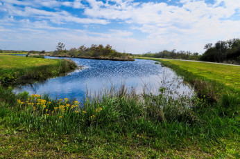 Картинка природа реки озера река лес