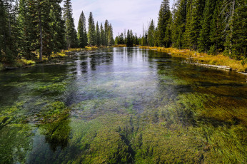 Картинка природа реки озера река лес