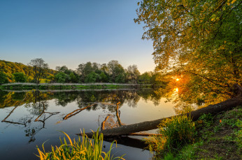 Картинка природа реки озера река лес