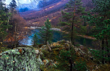 Картинка природа реки озера лес река