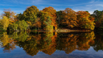 Картинка природа реки озера лес река