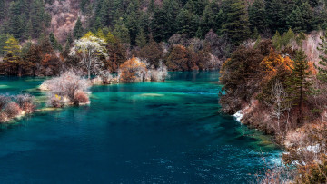 Картинка природа реки озера река лес