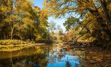 Картинка природа реки озера река лес