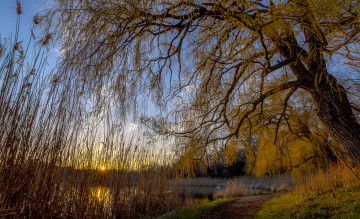 Картинка природа реки озера лес река