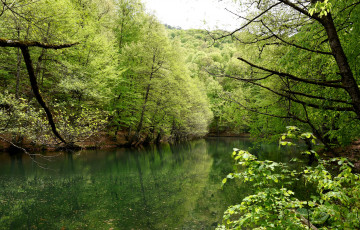 Картинка природа реки озера река лес