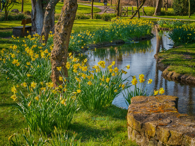 Обои картинки фото природа, реки, озера, река, лес