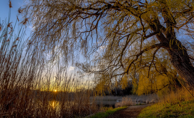 Обои картинки фото природа, реки, озера, лес, река