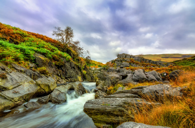 Обои картинки фото природа, реки, озера, река, лес