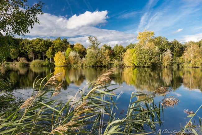 Обои картинки фото природа, реки, озера, лес, река