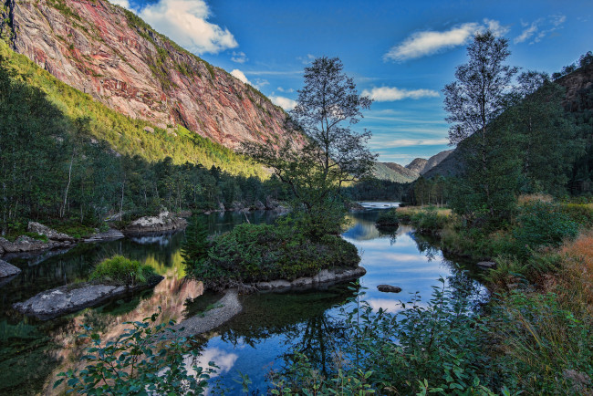 Обои картинки фото природа, реки, озера, река, лес