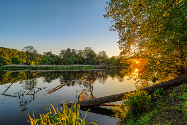 Обои картинки фото природа, реки, озера, река, лес