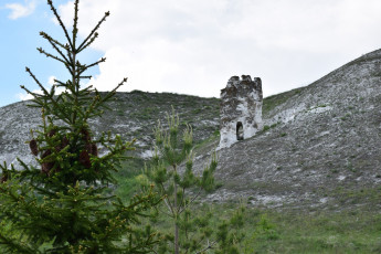 Картинка природа пейзажи ель возвышенность меловая дива