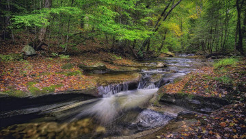 Картинка природа реки озера деревья водопад лес река осень