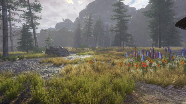 Обои картинки фото видео игры, drizzlepath