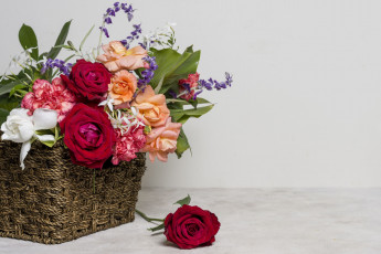 Картинка цветы букеты +композиции розы гвоздика