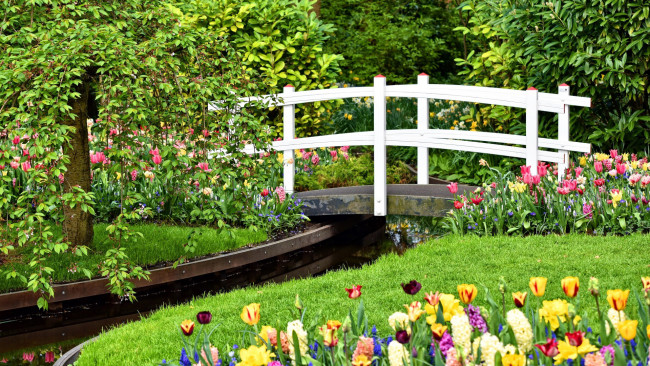 Обои картинки фото природа, парк, водоем, мостик