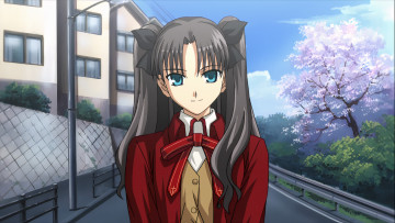 Картинка аниме fate stay+night +grand+order +apocrypha судьба ночь схватки