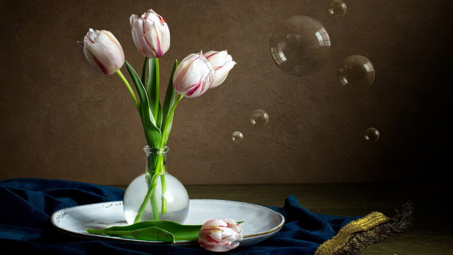 Обои картинки фото цветы, тюльпаны, букет, бутоны
