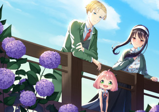 Картинка аниме spy+x+family spy x family