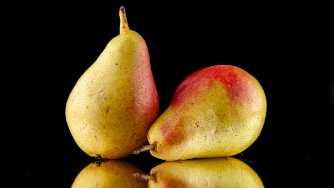 Обои картинки фото еда, груши, дуэт, отражение