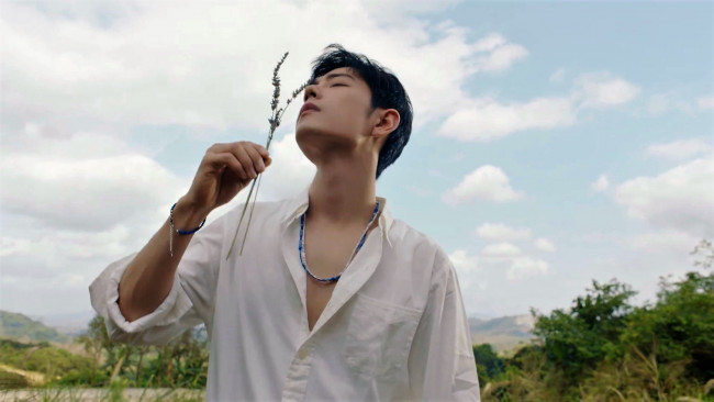 Обои картинки фото мужчины, xiao zhan, сяо, чжань, рубашка, травинка