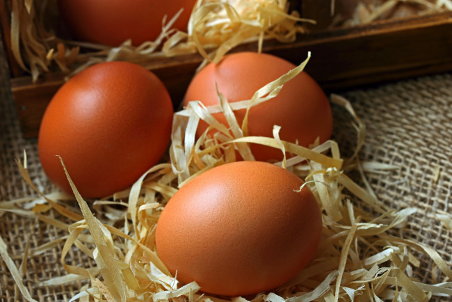 Обои картинки фото еда, яйца, солома, свежие