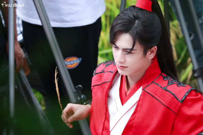 Обои картинки фото мужчины, zhang ling he, zhang, ling, he, чжан, линхэ