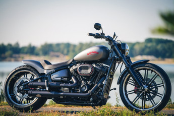 Картинка харлей мотоциклы harley-davidson мотоцикл байк серый thunderbike customs