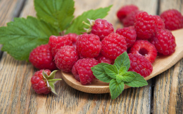 Картинка еда малина мята спелая ягоды