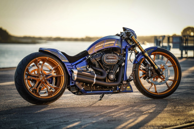 Обои картинки фото харлей, мотоциклы, harley-davidson, мотоцикл, байк, thunderbike, customs