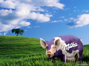 обоя бренды, milka