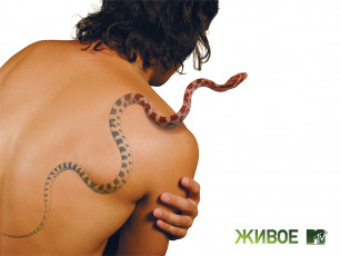 Картинка бренды mtv